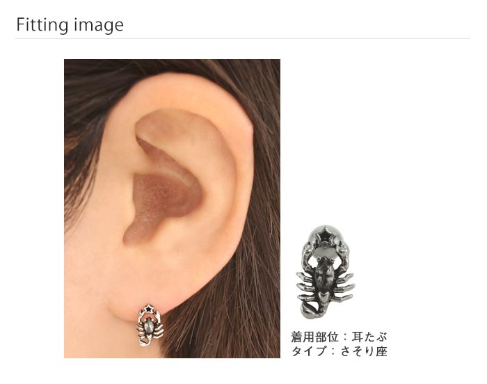 着用画像
