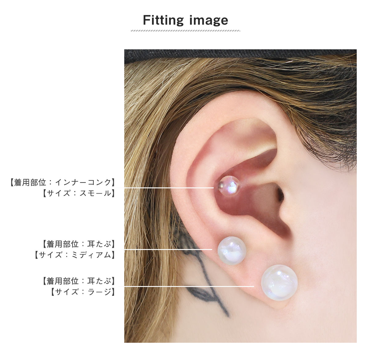 着用画像