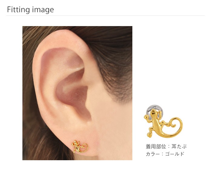 着用画像
