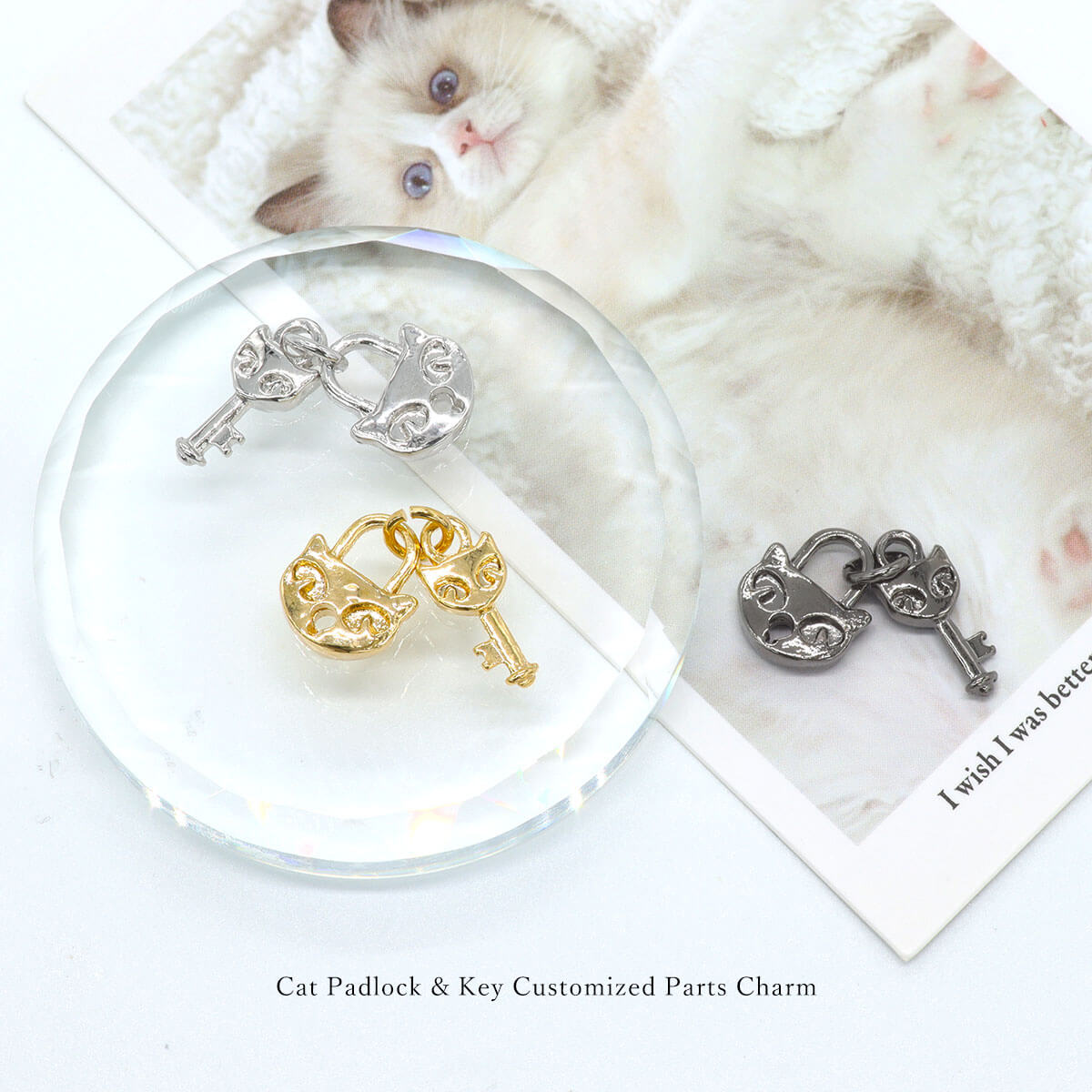 ROQUE（ロキ） ボディピアス 20G 18G 16G 14G対応 キャット 南京錠＆鍵