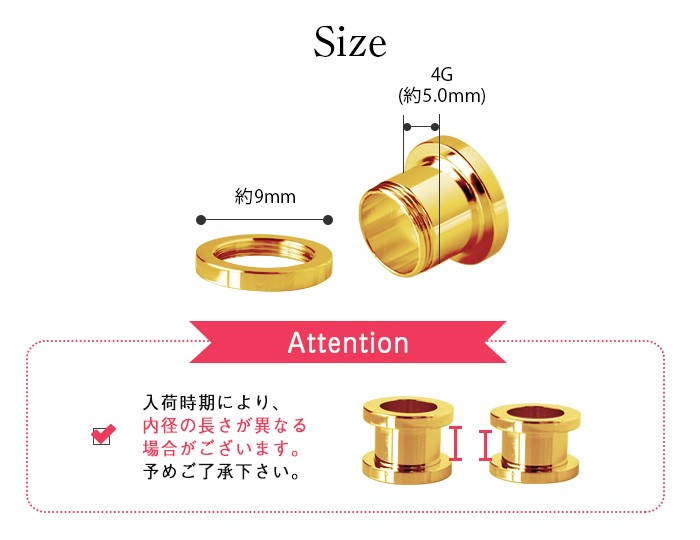 サイズ