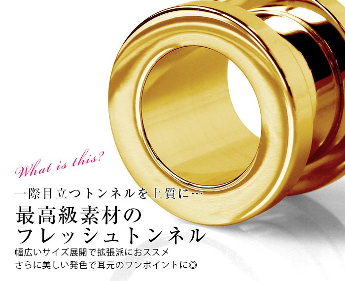 一際目立つトンネルを上質に