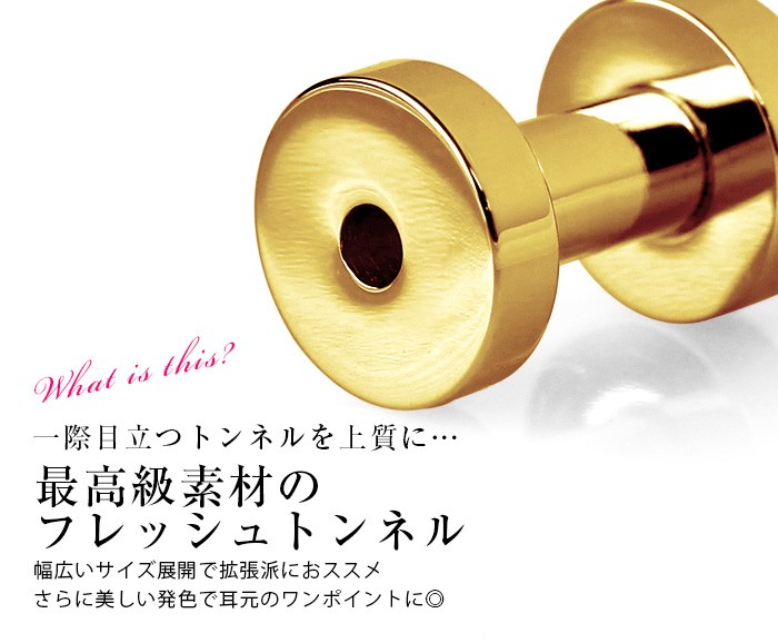 一際目立つトンネルを上質に