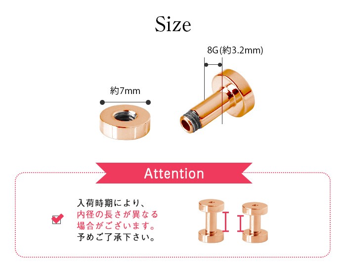 サイズ