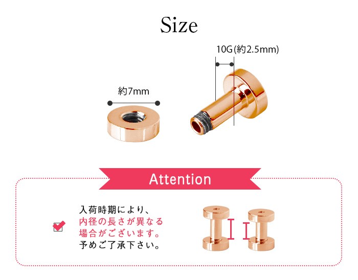 サイズ