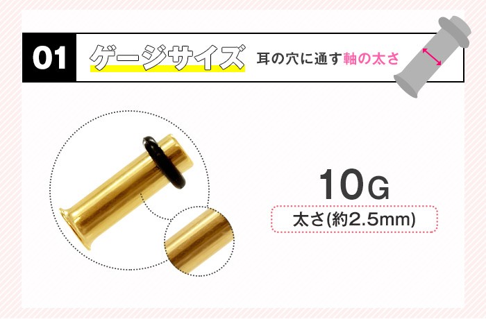 サイズ