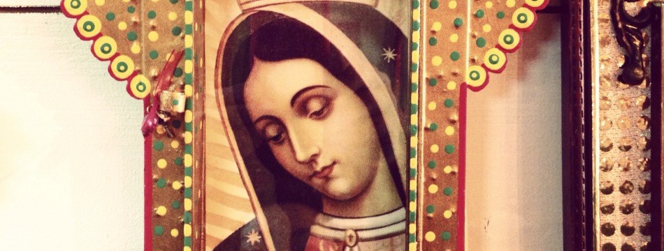 LA ROSA MEXICANA