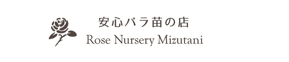 安心バラ苗の店 ヤフー店 ヘッダー画像