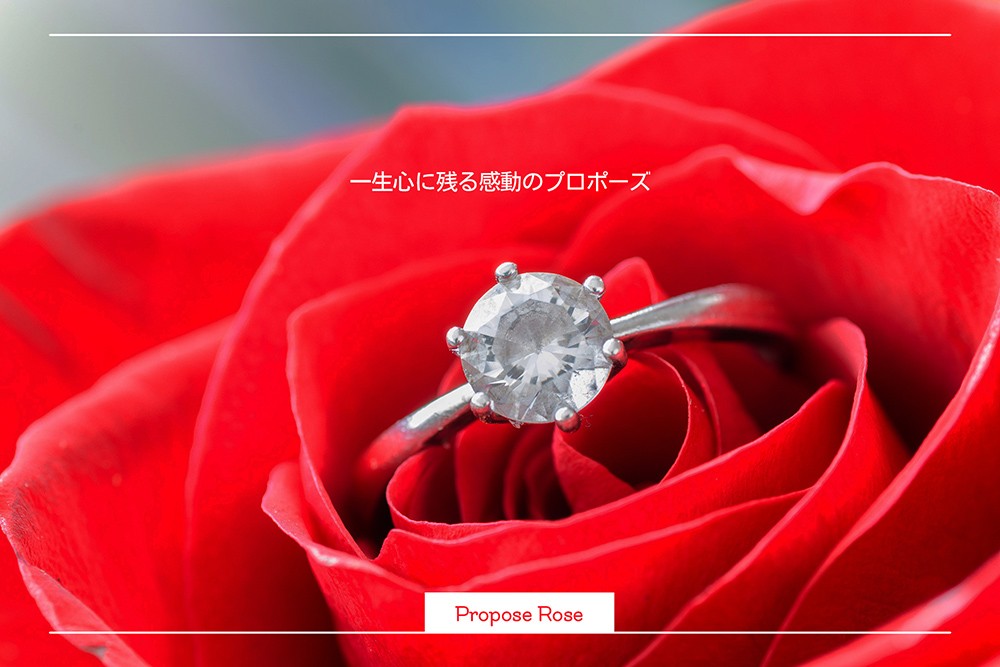 プレミアムローズ 大輪花束 レッド