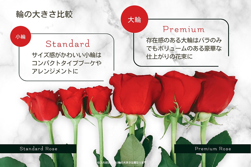 プレミアムローズ 大輪花束 レッド