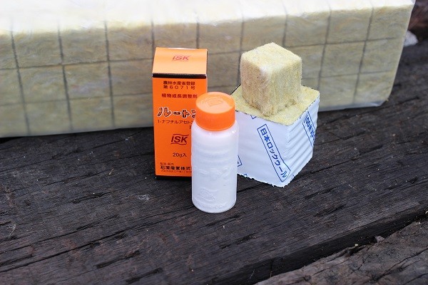y 発根剤付き 挿し木用ロックウールと発根促進剤ルートンのスターターズセット