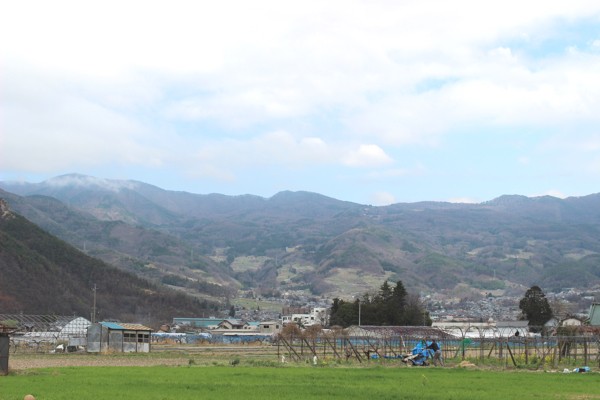 バラ専門店 ザ ローズショップ 会社概要 初めての方へインフォーメーション Yahoo ショッピング