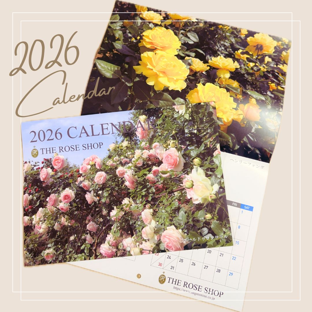 バラ専門店 ザ・ローズショップ - Yahoo!ショッピング