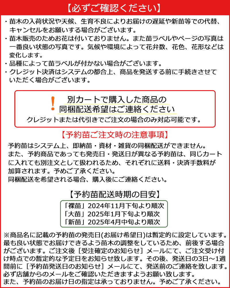 2024予約バラ苗のお届けについて　注意