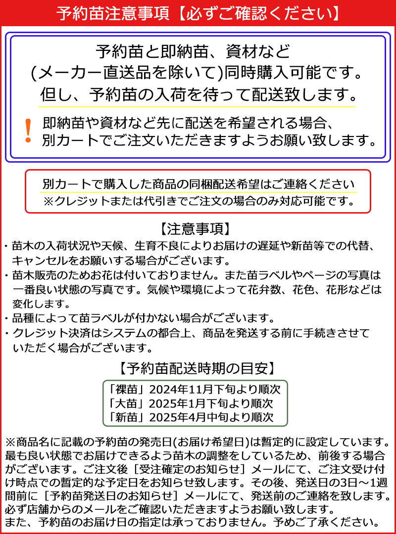 2024予約バラ苗のお届けについて　注意