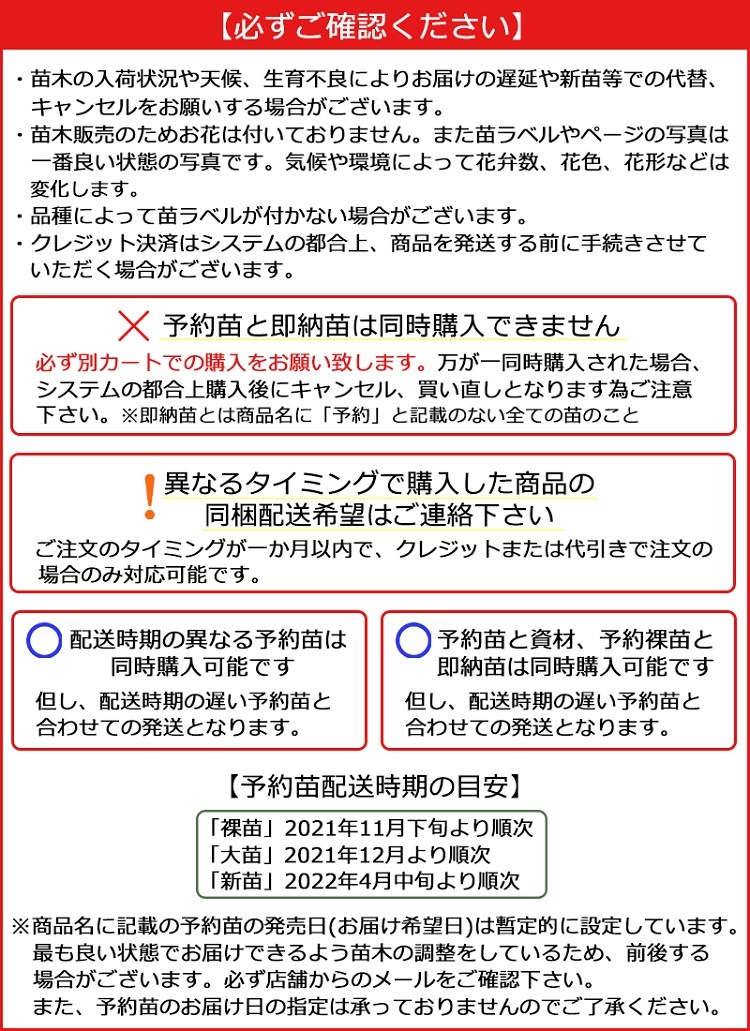 予約バラ苗のお届けについて 注意