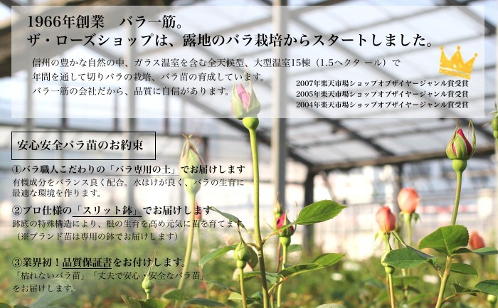 タイトル画像