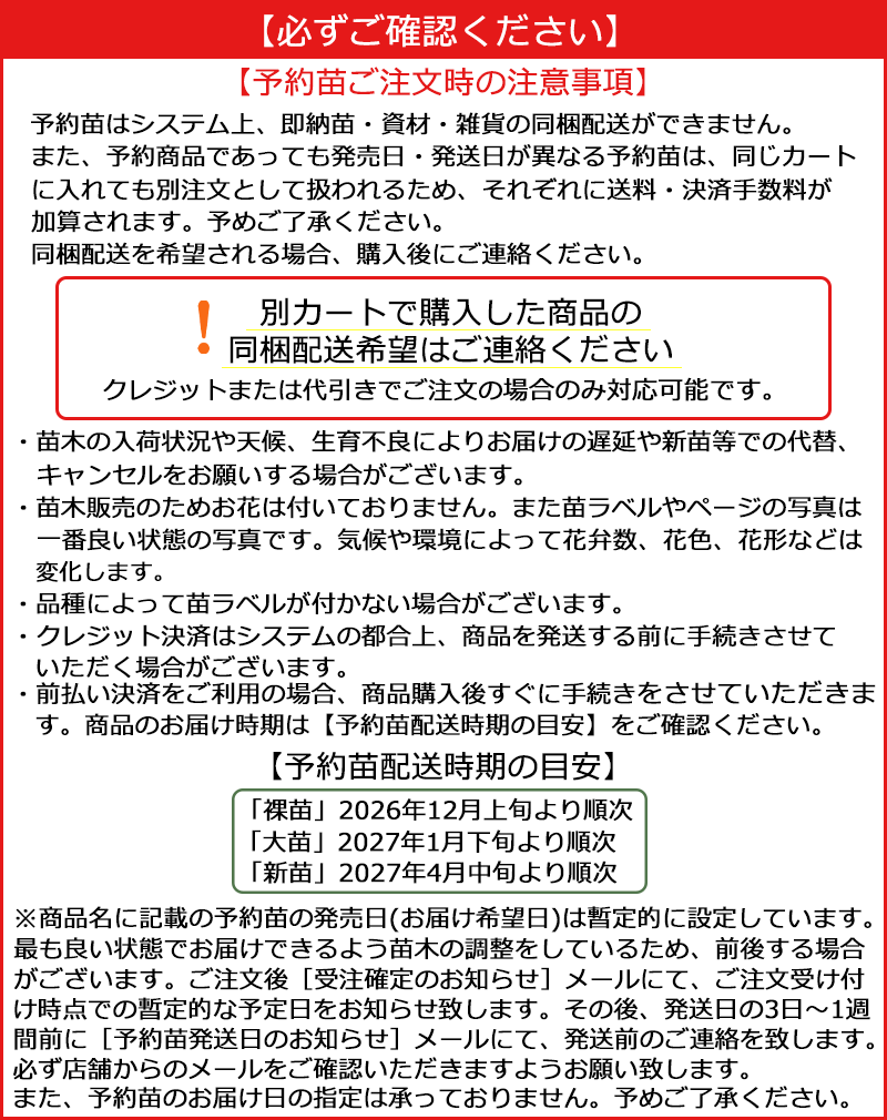 予約バラ苗のお届けについて 注意