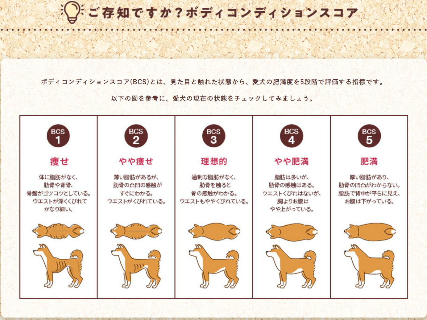 unicharm フィジカライフ シニア犬用 チキン＆大豆入り 2kg