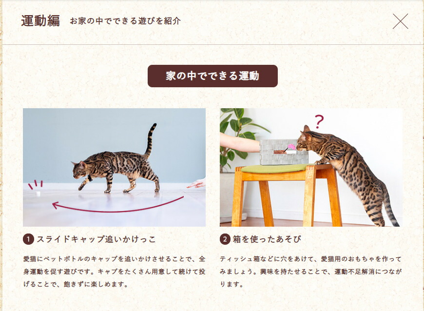 商品画像4
