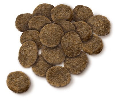 ベッツ・チョイス・ジャパン セレクトバランス チキン エイジングケア