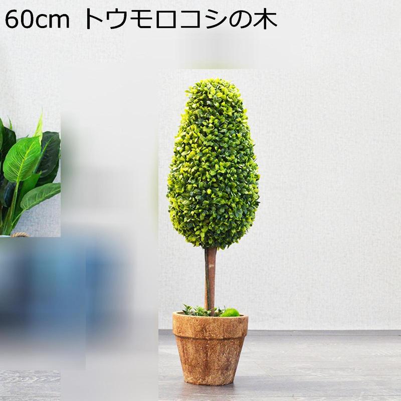 ツゲ トピアリー（花、ガーデニング）の商品一覧 通販 - Yahoo