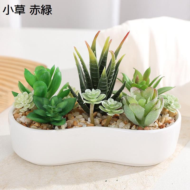 多肉植物（人工観葉、フェイクグリーン） | 花、ガーデニング の