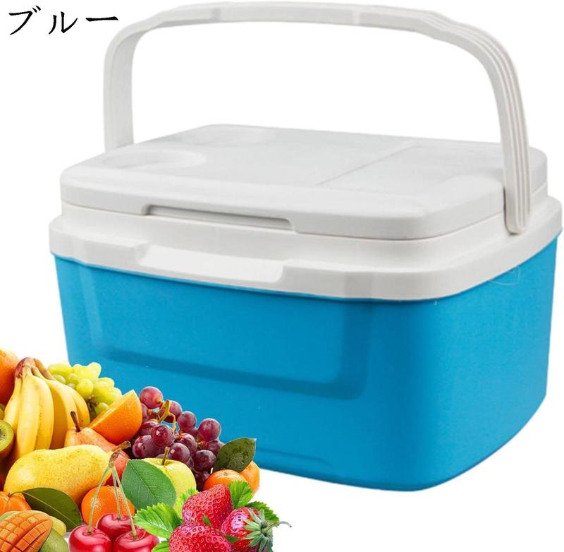 氷風マルチクーラー　温風も出せる　専用アイスパック付き Amazon.co.jp: アイスボックス 冷凍 氷嚢 クーラーボックス
