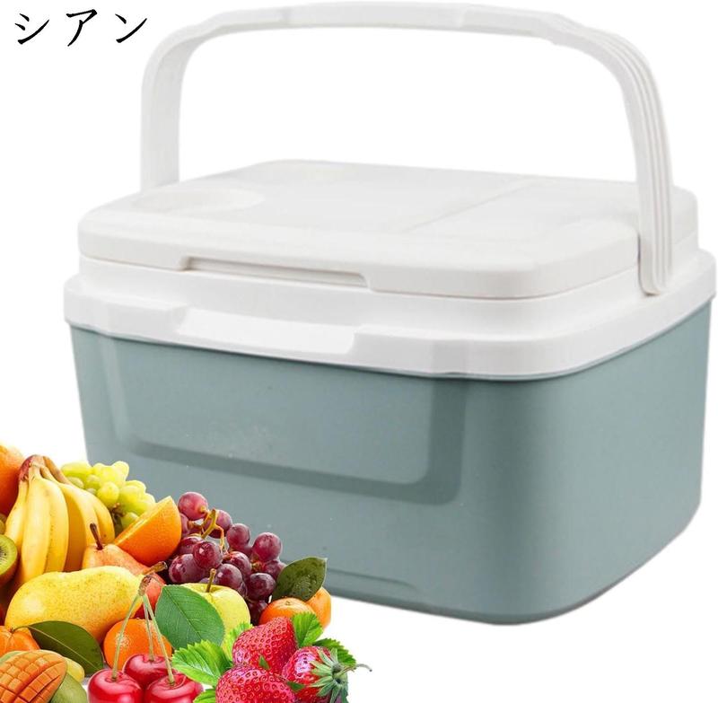 氷風マルチクーラー　温風も出せる　専用アイスパック付き クーラーボックス アイスボックス クーラーケース 8L 大容量 高