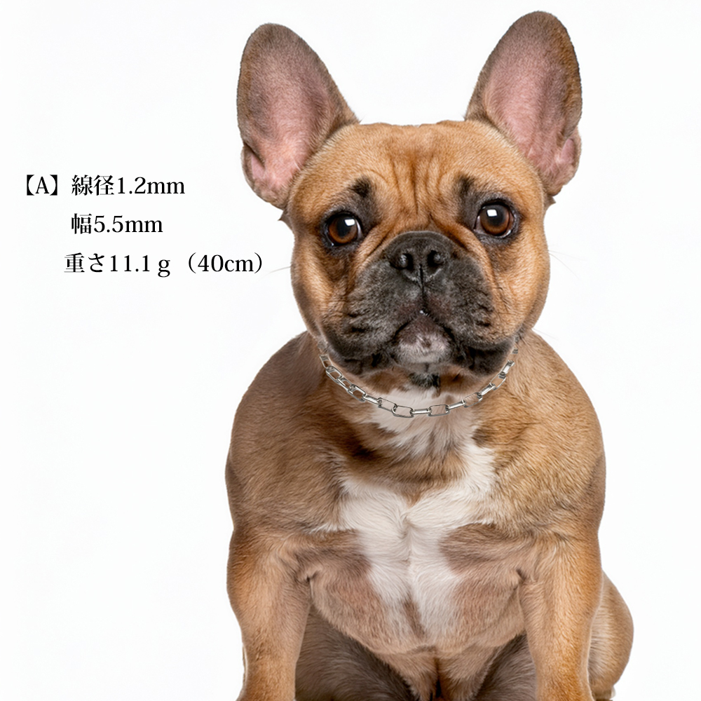 迷子札 犬 首輪 ネームプレート おしゃれ