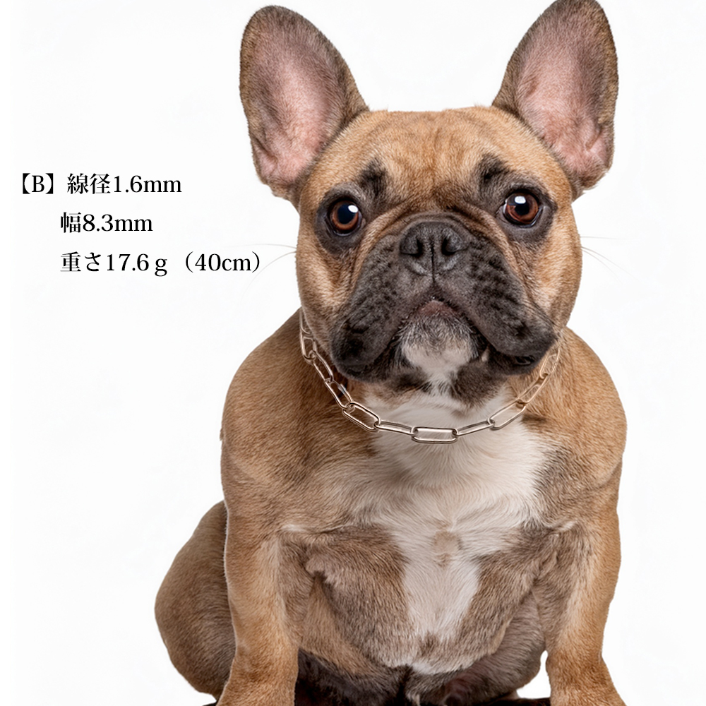 迷子札 犬 首輪 ネームプレート おしゃれ