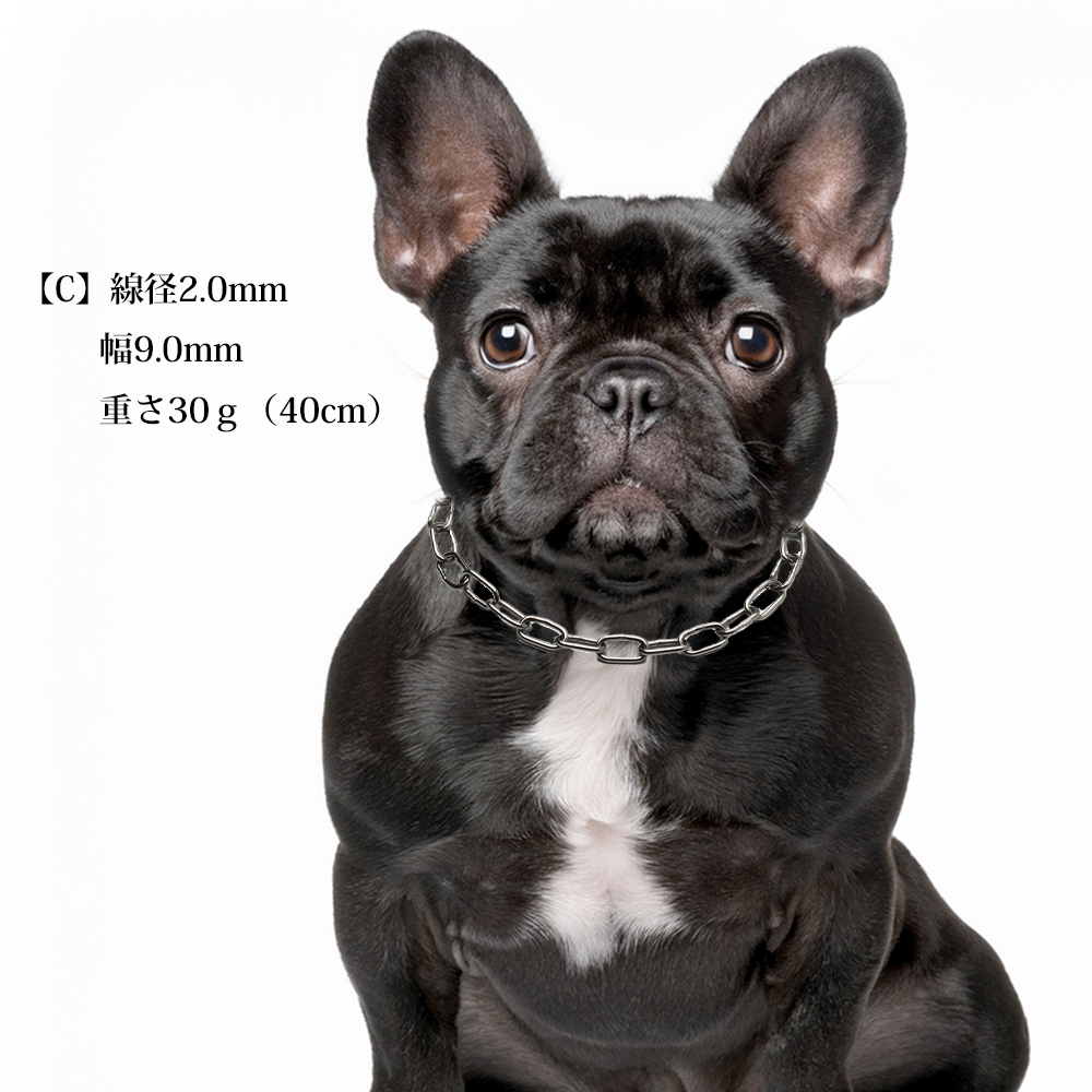迷子札 犬 首輪 ネームプレート おしゃれ
