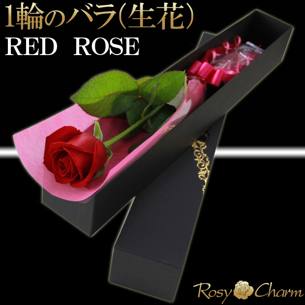 薔薇1本花束｜プレゼント用の箱入り