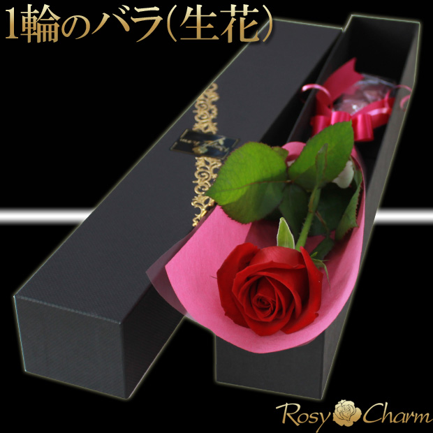 赤い薔薇１本｜ギフトボックス入り