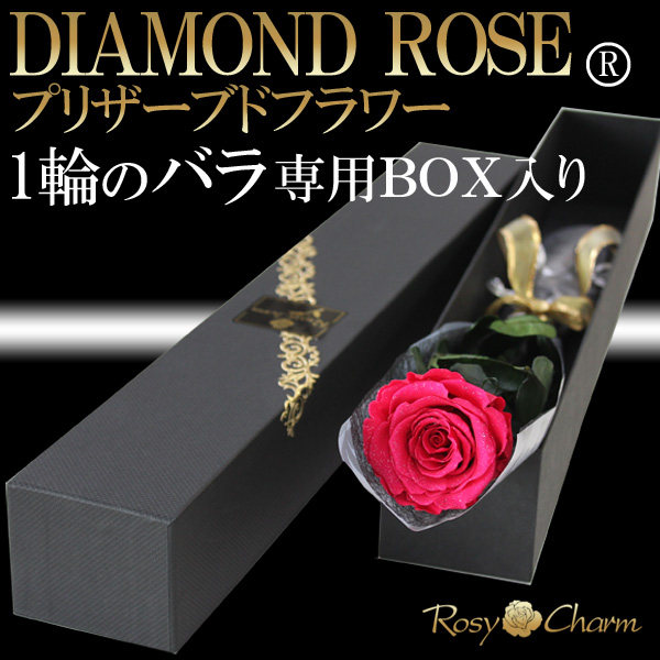 ダイヤモンドローズ｜ホットピンクのバラ