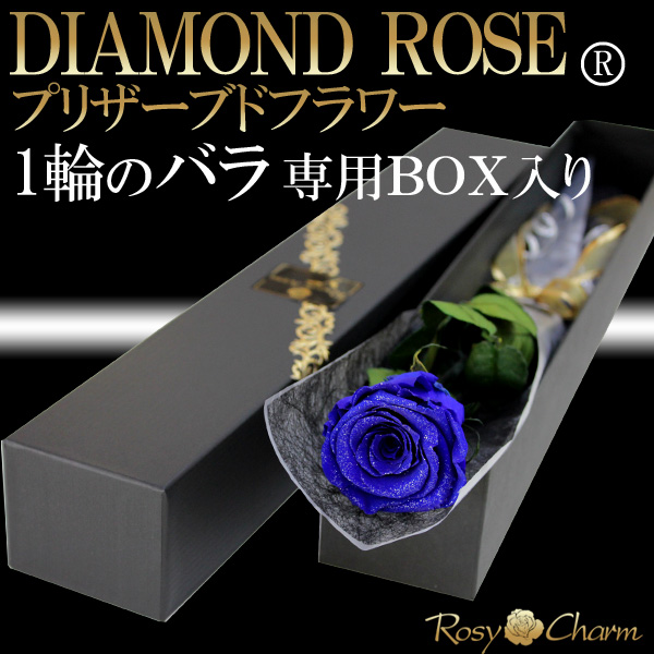 ダイヤモンドローズ｜青いバラ
