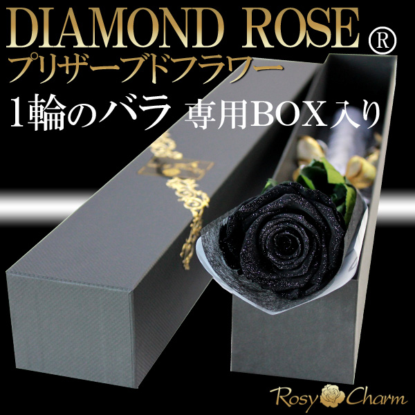 ダイヤモンドローズ｜黒色のバラ