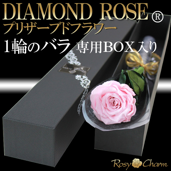 ダイヤモンドローズ｜ピンクのバラ