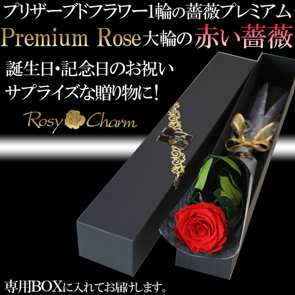 赤い薔薇 1本 プレミアムローズ プリザーブドフラワー プロポーズ 結婚