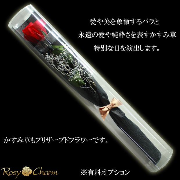 バラ1本かすみ草｜プリザーブドフラワー｜クリアケース入り