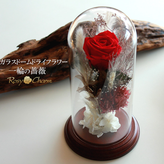 ガラスドーム ドライフラワー 一輪のバラ プリザーブドフラワー 誕生日
