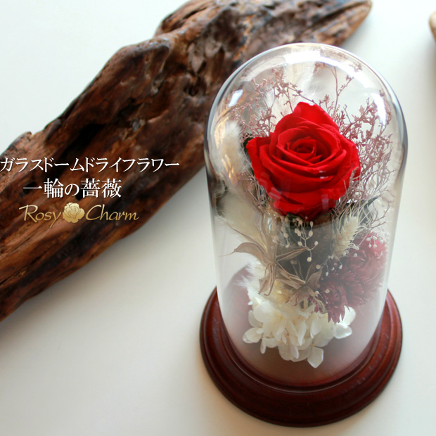 ドライフラワーと薔薇｜ガラスドーム
