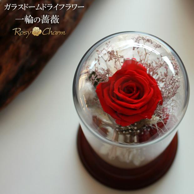 ガラスドーム入り｜ドライフラワーの花束