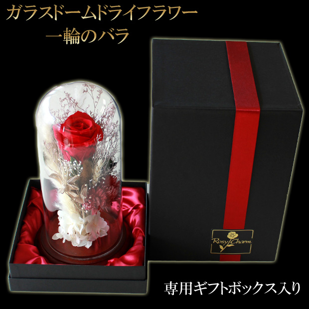 水やり不要で綺麗な花｜プリザーブドフラワー