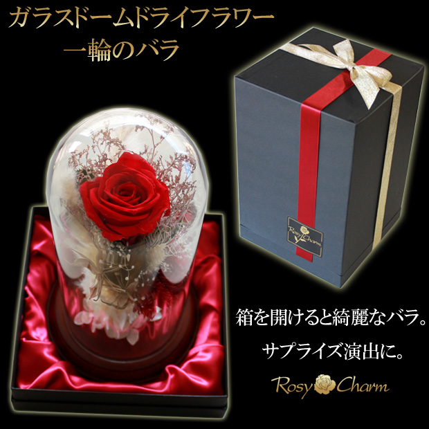 ガラスドーム ドライフラワー 一輪のバラ プリザーブドフラワー 誕生日