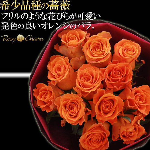 希少薔薇ブーケ柄　3m バラの花束｜ミニブーケ （希少品種の薔薇） 【濃いオレンジ】 12本 11