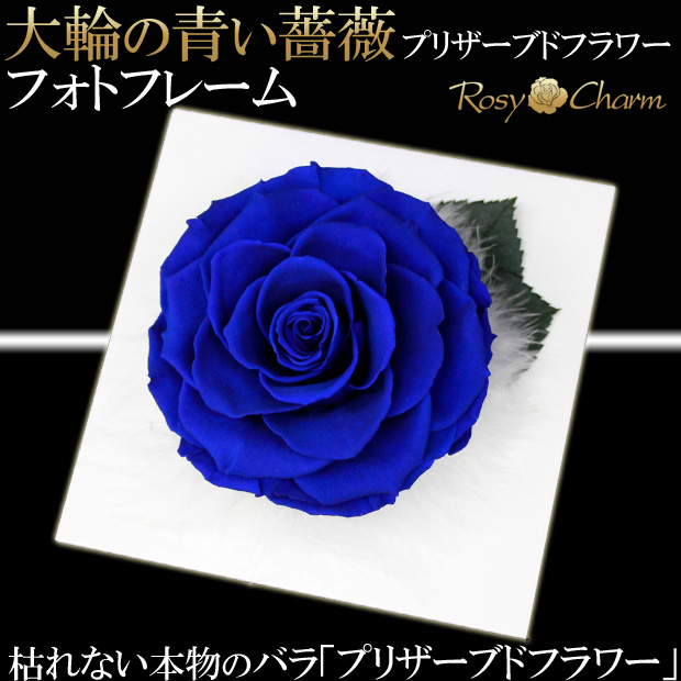 プリザーブドフラワー フォトフレーム 大輪 青いバラ 一輪 写真立て