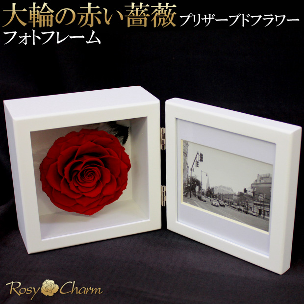 ROSE GALLERY銀座 プリザーブドフラワー 赤いバラ (フォトフレーム） 2025年最新】ローズギャラリー プリザーブドフラワーの人気