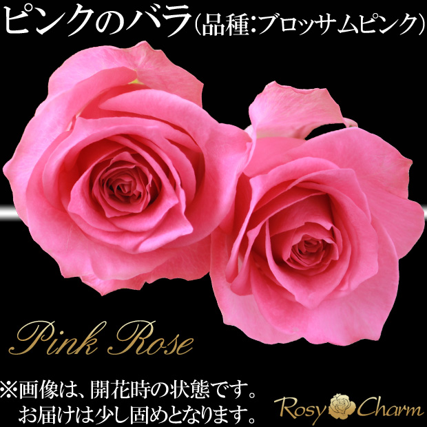 バラの花束 100本 赤い薔薇 プロポーズ 誕生日 プレゼント 結婚