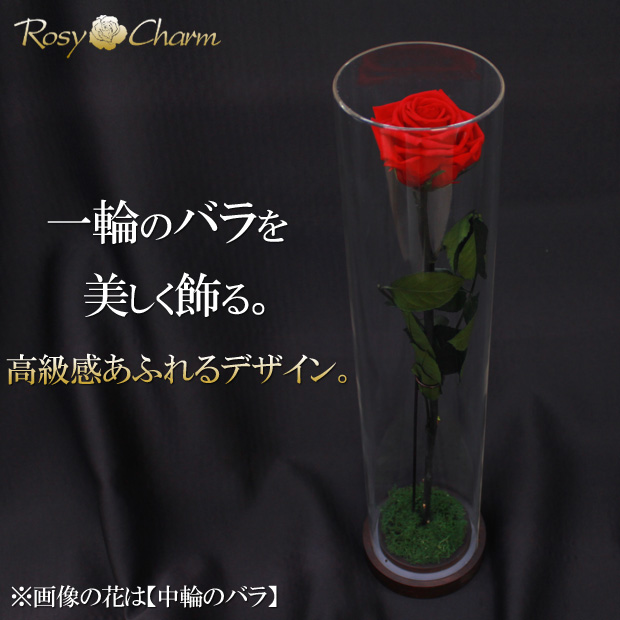 プリザーブドフラワー バラ一本 ディスプレイ用アクリルケース